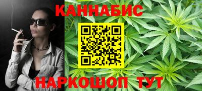 индика Пенза