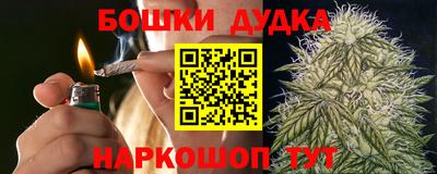индика Пенза