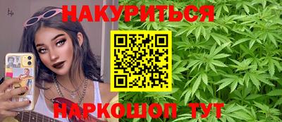 индика Пенза