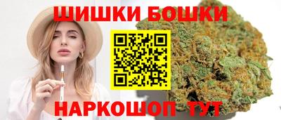 индика Пенза