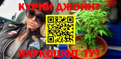 индика Пенза