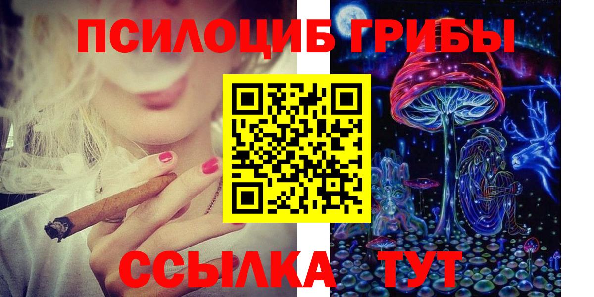 Тосно  Псилоцибиновые грибы мицелий  Вход с VPN 