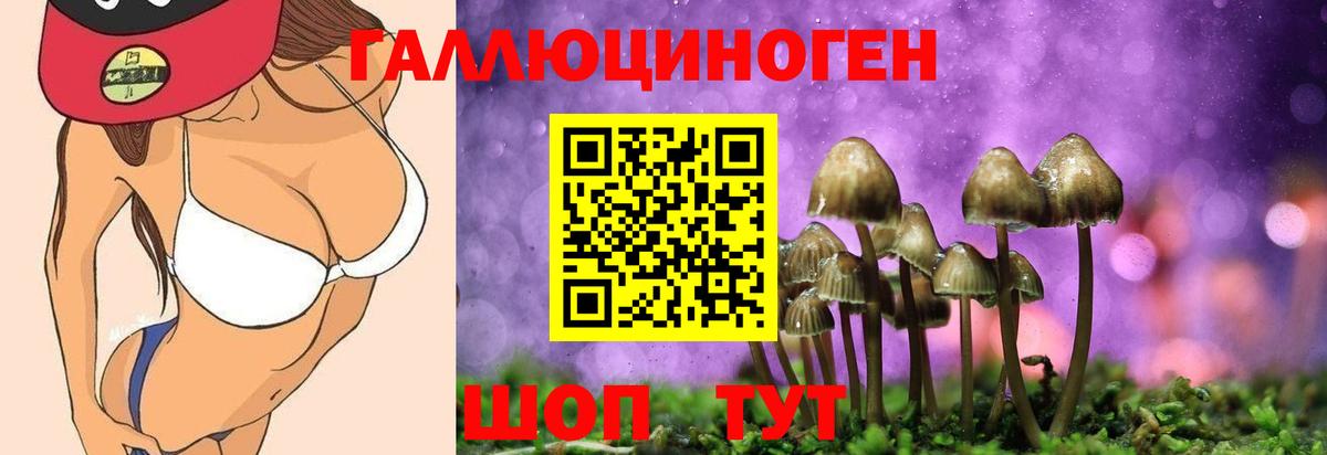 Галлюциногенные грибы MAGIC MUSHROOMS Тосно